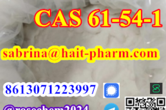 8615355326496 Big Sale Tryptamine CAS 61541